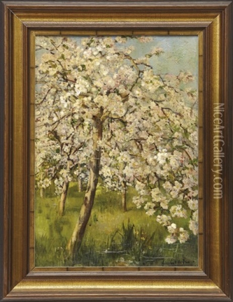 Bluhende Apfelbaume Oil Painting - Jan Cornelis van der Ven