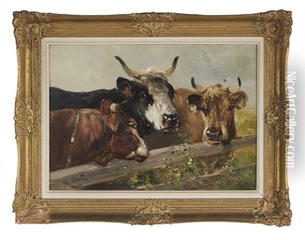Bulls At A Fence Oil Painting - Henry Schouten