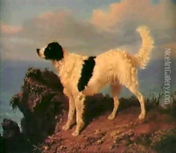 A Dog On A Cliff Oil Painting - Filippo Palizzi