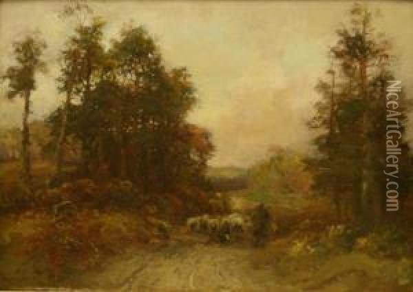 Sheep On A Wooded Track Oil Painting - William Manners