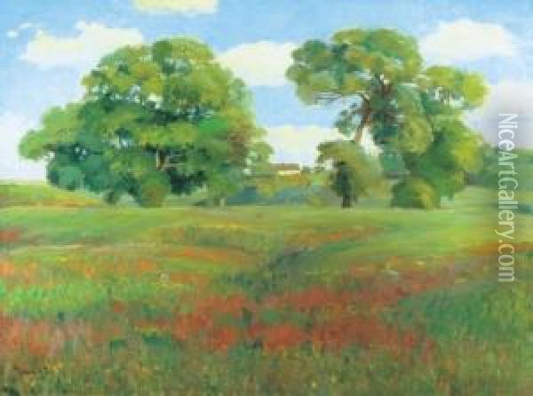 Field Oil Painting - Daniel Mihalik