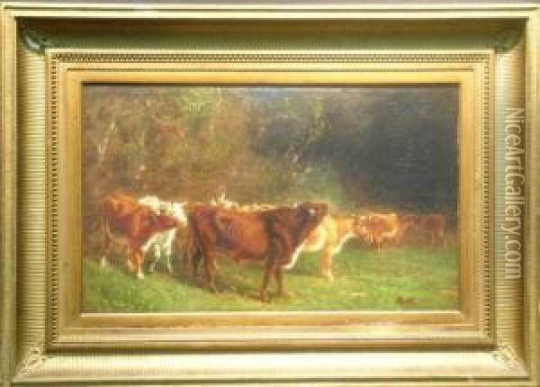 King Of The Herd Oil Painting - James McDougal Hart