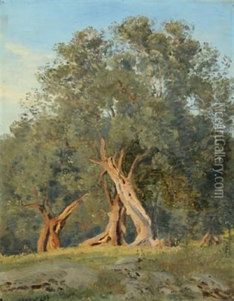 Olivenlund Oil Painting - Janus la Cour