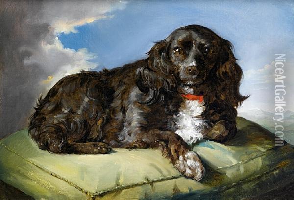 A Spaniel On A Green Cushion Oil Painting - Theodor Petter