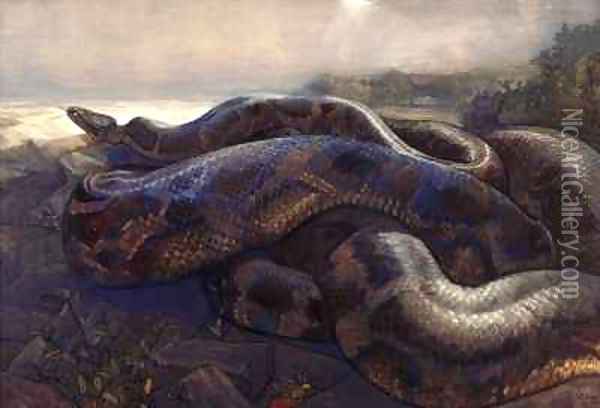 Kaa the Python Oil Painting - Charles Maurice Detmold