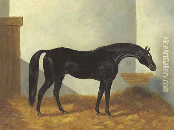 Virgil, a Black Stallion in a stable Oil Painting - Henry Stull