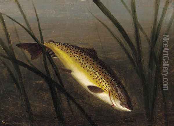 A trout on a line Oil Painting - A. Roland Knight