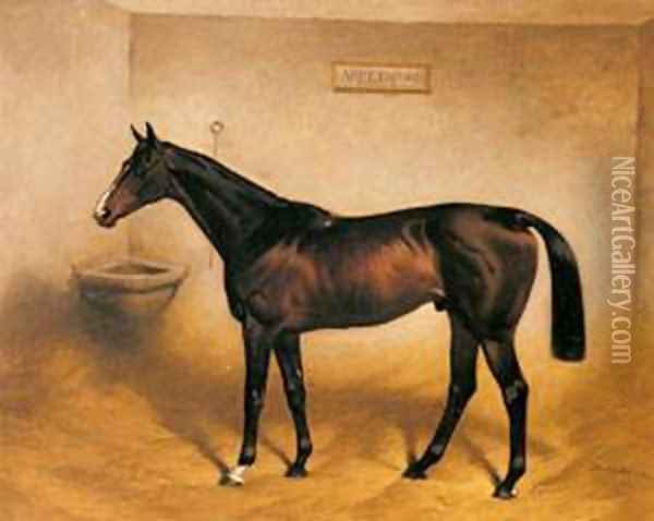 The Racehorse Abbeywood In A Stable Oil Painting - Basil J. Nightingale