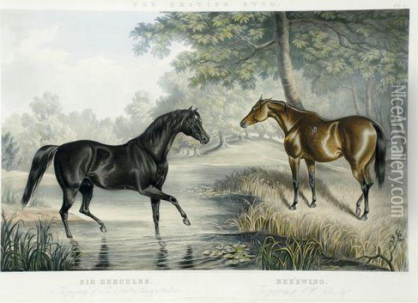 The Britishstud: Portraits Of Celebrated Stallions And Mares Oil Painting - John Frederick Herring Snr