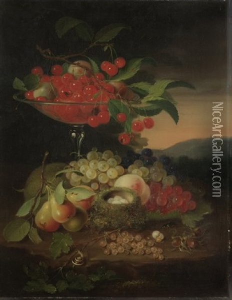 Stilleben Mit Fruchten, Vogelnest, Nussen, Insekten Und Schnecke Oil Painting - George Forster