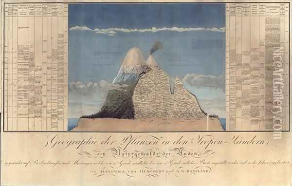 Geography of Plants in Tropical Countries A Study of the Andes Oil Painting - Humboldt, Friedrich Alexander, Baron von