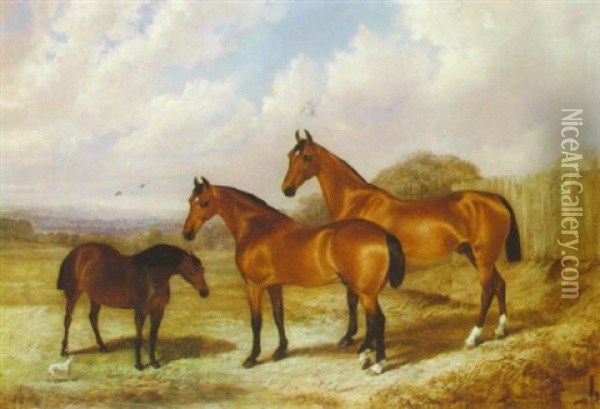 Horses In A Landscape Oil Painting - Robert Nightingale