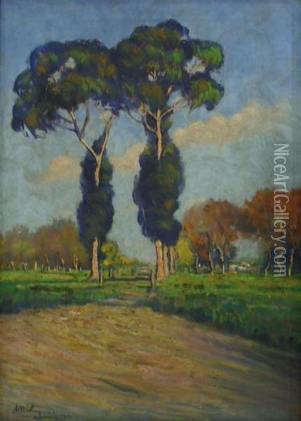 Eucaliptus Oil Painting - Atilio Malinverno