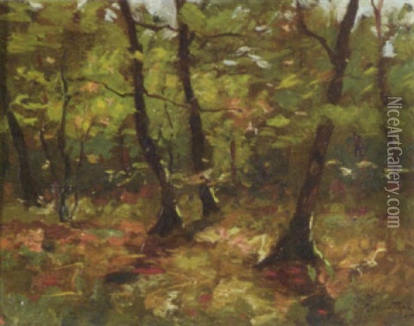 Woodland Grove Oil Painting - Hendrik Otto Van Thol