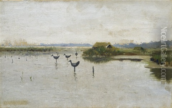 Duck Decoys On A Lake Oil Painting - Josef Chelmonski