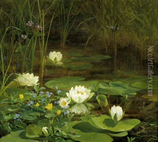 Waldteich Mit Seerosen, Frosch Und Libelle Oil Painting - Anthonie Eleonore (Anthonore) Christensen