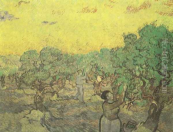 La récolte des olives 1889 Oil Painting - Vincent Van Gogh