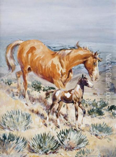 The Pinto Foal Oil Painting - John Edward Borein