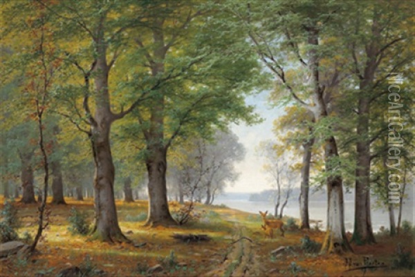 Rehe Am Waldesrand Oil Painting - Jacobus Johannes Van Poorten