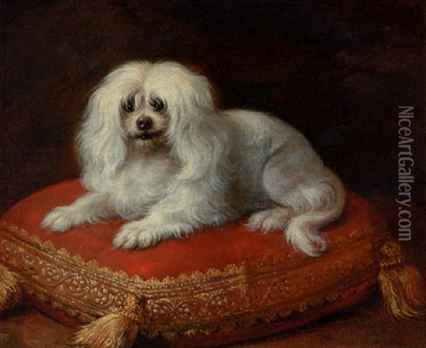 A Spaniel On A Cushion Oil Painting - Jean Ranc