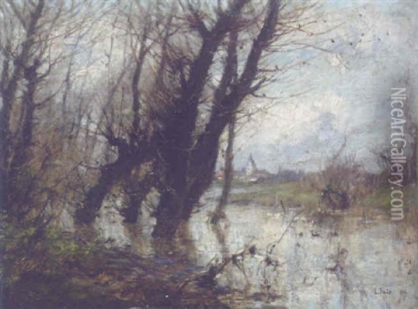 Uberschwemmte Landschaft Oil Painting - Carl Jutz the Elder