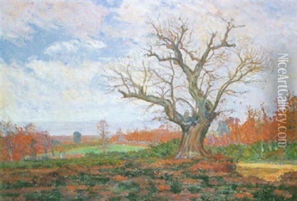 L'automne En Creuse Oil Painting - Abel Louis Alphonse Lauvray