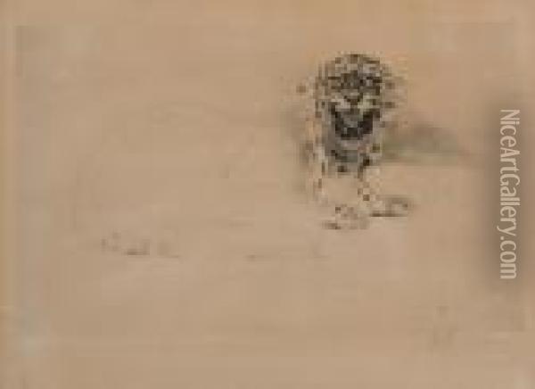 Fauchender Leopard Oil Painting - Wilhelm Kuhnert