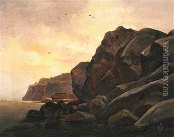 Rocky Norwegian Coast With Fishing Huts And Circling Birds Oil Painting - Christian Ernst Bernhard Morgenstern