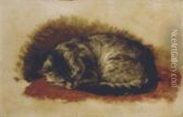A Sleeping Cat Oil Painting - Henriette Ronner-Knip