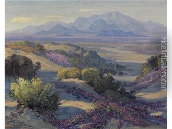 Desert Flowers Oil Painting - Fred Grayson Sayre