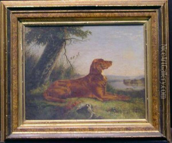 Setter Seated In A Landscape Oil Painting - C.R. Murdoch