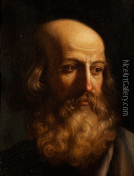 Kopf Eines Bartigen Mannes Oil Painting -  Guercino