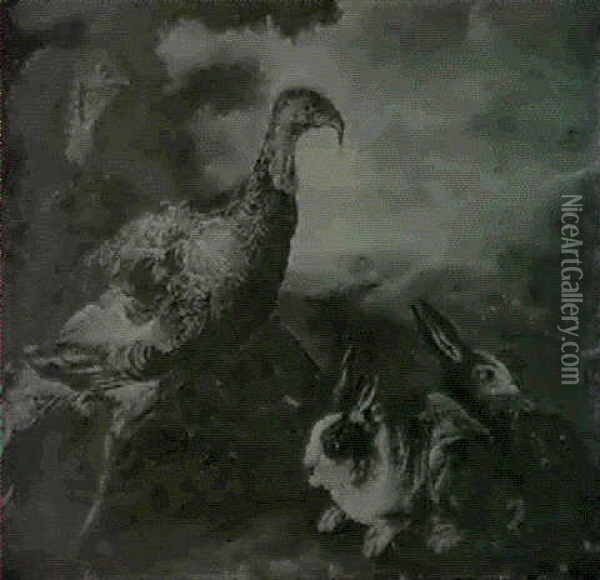 Deux Dindons Et Deux Lapins Oil Painting - Angelo Maria (Crivellone) Crivelli