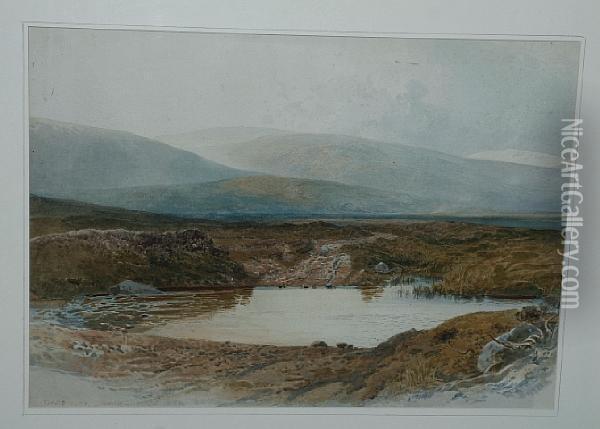 Dartmoor Oil Painting - Harry John Johnson