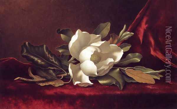 The Magnolia Blossom Oil Painting - Martin Johnson Heade