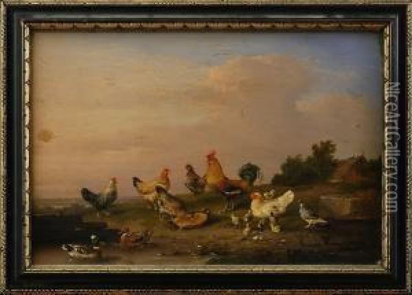 Rooster, Hens, Ducks And A Pigeon Oil Painting - Francois Vandeverdonck
