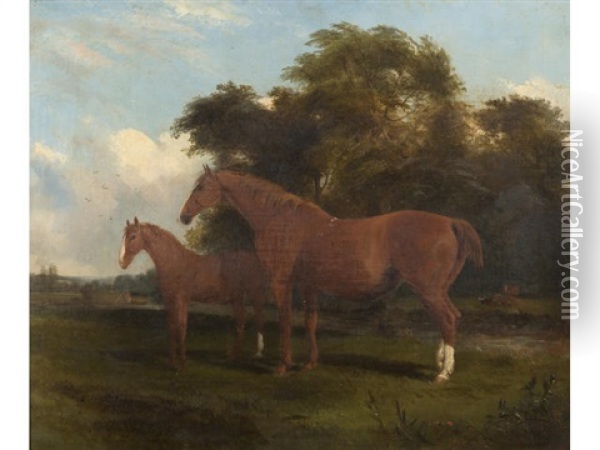 Suffolk Mare And Foal By A River Bank Oil Painting - John Duvall