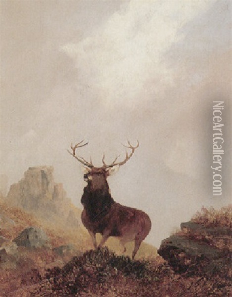 Zwolfender Auf Hugeliger Kuppe Mit Felshintergrund Oil Painting - Sir Edwin Henry Landseer