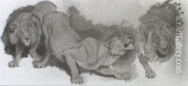 Sketch For Daniel In The Lion's Den Oil Painting - Briton Riviere