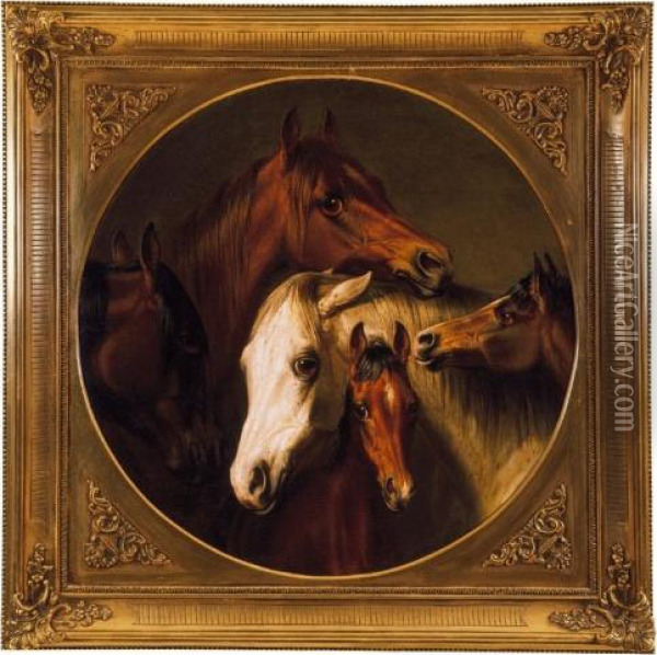 Horses Oil Painting - Friedrich Adolph Arnold