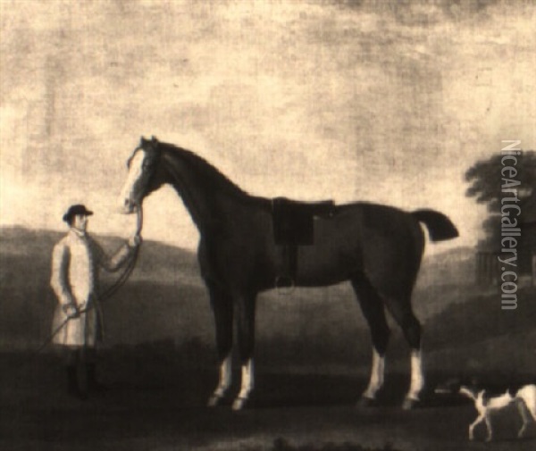 A Colt Out Of 'dorothy' By 'tortoise' Oil Painting - Francis Sartorius the Elder