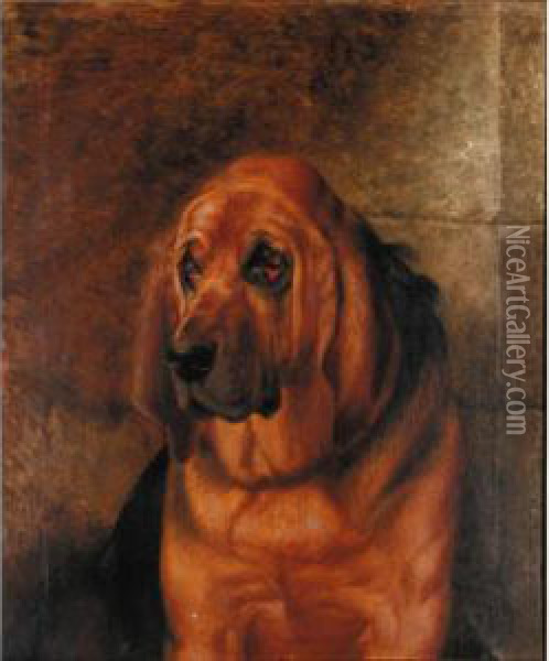 Portrait Of A Bloodhound Oil Painting - Robert Nightingale