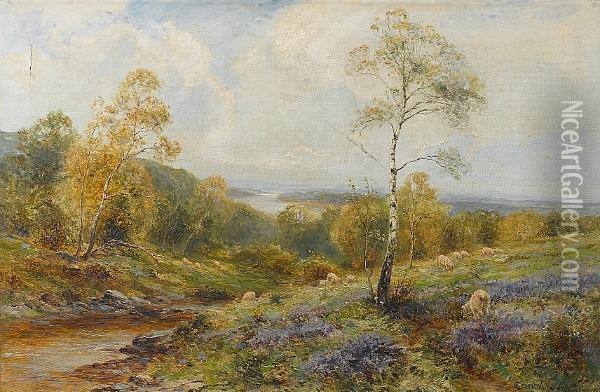 Sheep Grazing In A Landscape Oil Painting - Ernst Walbourn