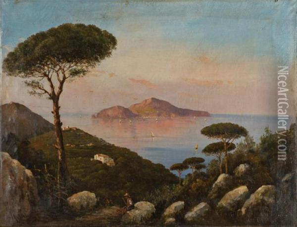 Veduta Di Capri Oil Painting - Alessandro la Volpe