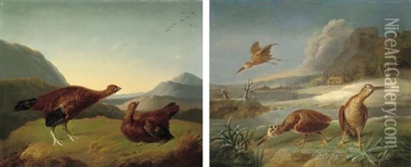 Red Grouse In A Highland Landscape (+ Woodcock In River Landscape; Pair) Oil Painting - Stephen Elmer