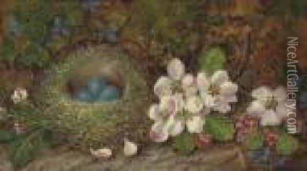 Apple Blossom And A Birds Nest, On A Mossy Bank Oil Painting - George Clare