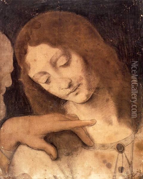 Head of St John the Evangelist Oil Painting - Leonardo Da Vinci