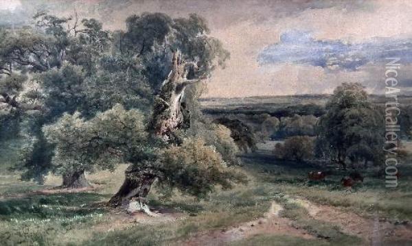 Wooded Valley Landscape With 
Gnarled Tree To Foreground And Cattle In Meadow To Middle Distance Oil Painting - David I Cox