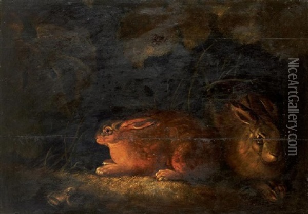 Deux Lievres Tapis Dans Les Marais Oil Painting - Wenceslaus (Wenzel) Peter