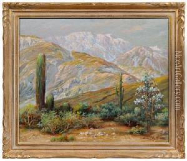 Desert At The Edge Of A Mountainpass Oil Painting - Andreas Roth